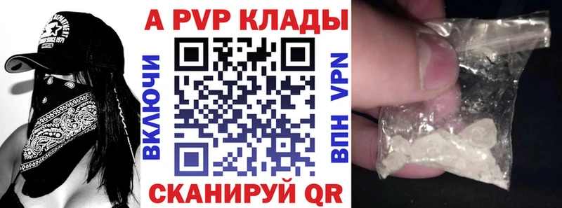 дарнет шоп  Ужур  Альфа ПВП СК КРИС 