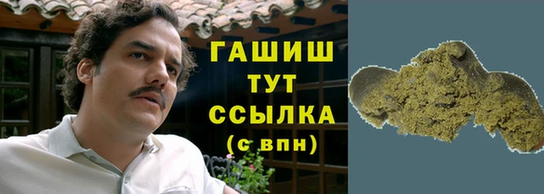тгк Абаза