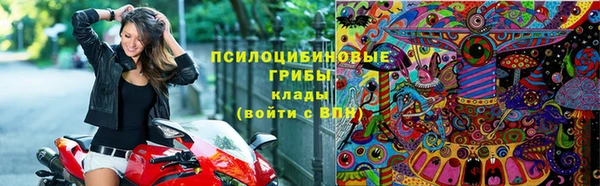 тгк Абаза